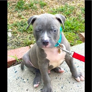 Meet your Posher, Jaime